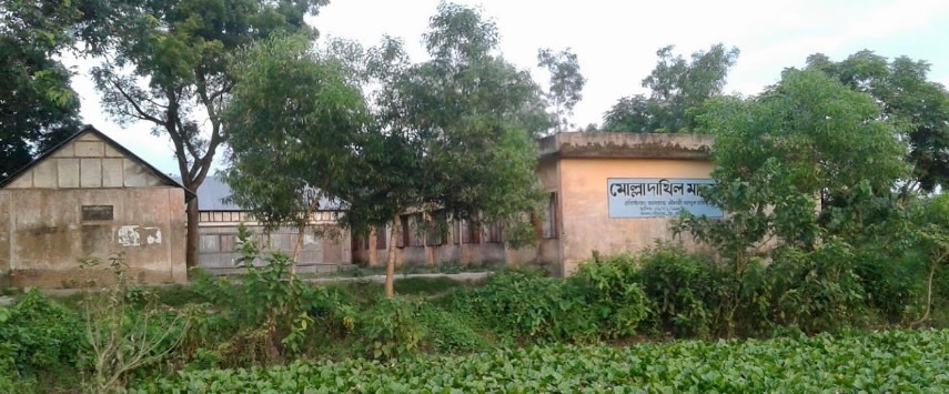 মাদ্রাসার পরিচিতি ও ইতিহাস